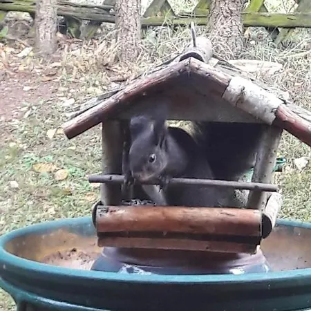 Апартаменты Schau Ins Land *