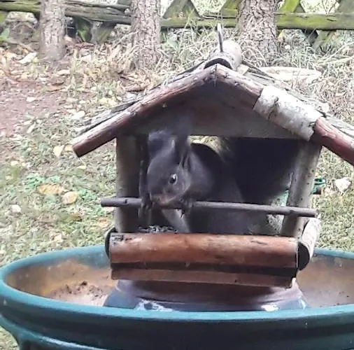 Διαμέρισμα Schau Ins Land *